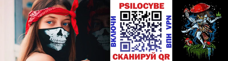 Галлюциногенные грибы Psilocybine cubensis Узловая